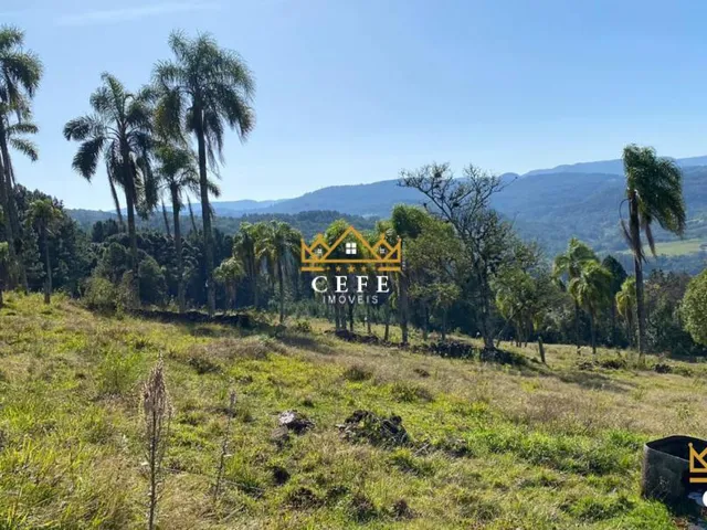 Imagem 7: Sua chácara de 2 hectares em Três Coroas - RS
