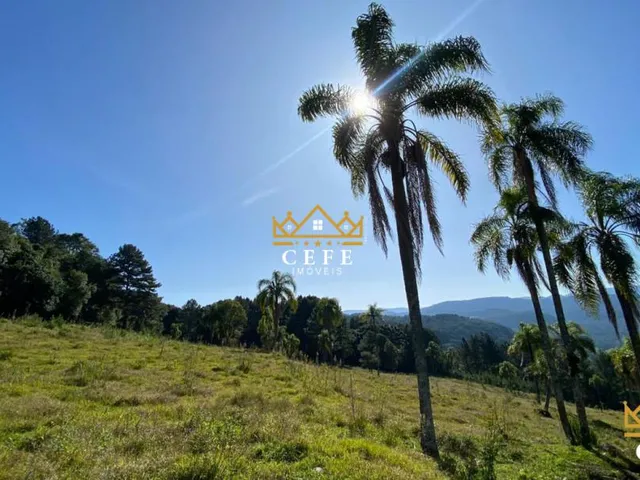 Imagem 8: Sua chácara de 2 hectares em Três Coroas - RS