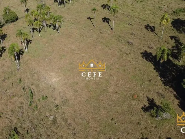 Imagem 9: Sua chácara de 2 hectares em Três Coroas - RS