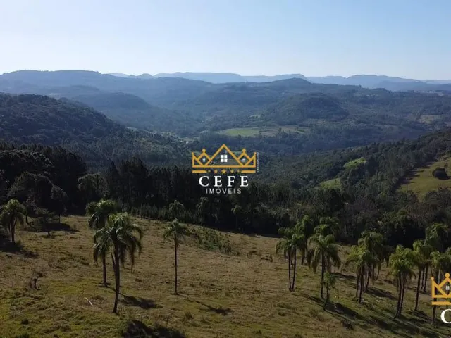 Imagem 10: Sua chácara de 2 hectares em Três Coroas - RS