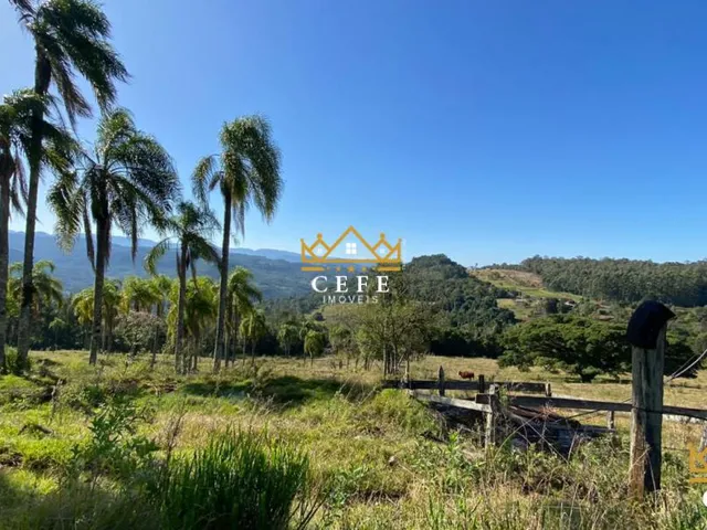 Imagem 11: Sua chácara de 2 hectares em Três Coroas - RS