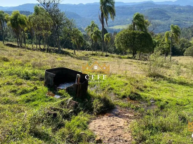 Imagem 12: Sua chácara de 2 hectares em Três Coroas - RS
