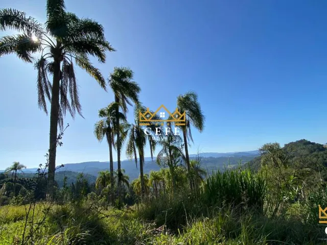 Imagem 13: Sua chácara de 2 hectares em Três Coroas - RS