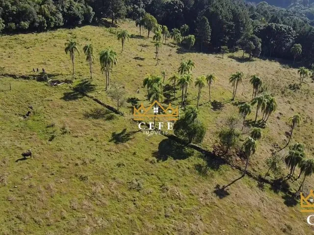 Imagem 14: Sua chácara de 2 hectares em Três Coroas - RS