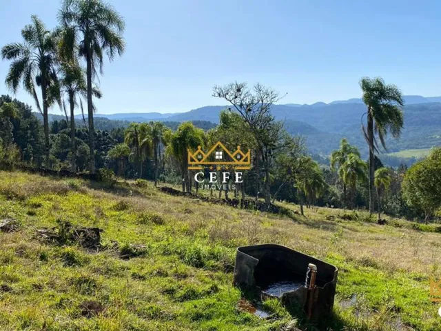Imagem 15: Sua chácara de 2 hectares em Três Coroas - RS