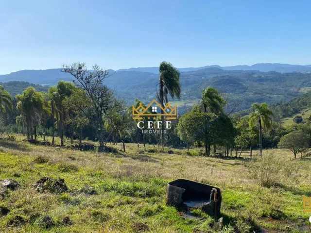 Imagem 16: Sua chácara de 2 hectares em Três Coroas - RS