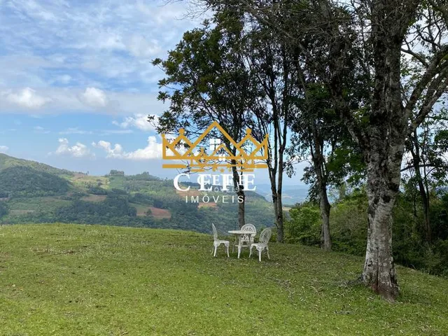 Imagem: Sítio em Morro Reuter oportunidade de