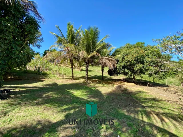 Imagem 10: Terreno Rural de 6.840 m² à venda em Guarapari ? Dentro de Loteamento e com Pomar