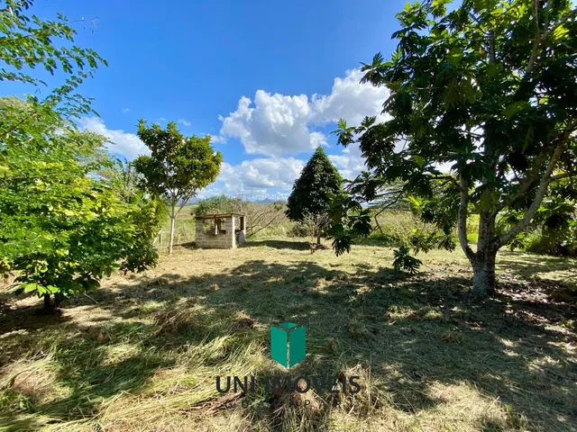 Imagem 11: Terreno Rural de 6.840 m² à venda em Guarapari ? Dentro de Loteamento e com Pomar