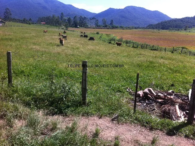 Imagem: VENDO FAZENDA EM SANTA CATARINA, PAULO LOPES