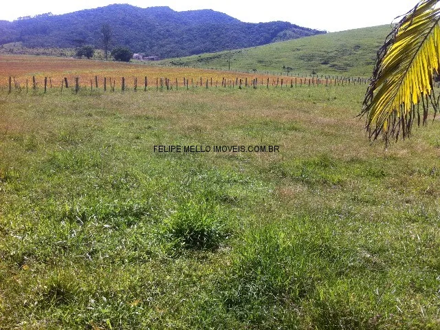 Imagem 13: VENDO FAZENDA EM SANTA CATARINA, PAULO LOPES COM 168 HA, ARROZAL, ÁGUA DE NASCENTE