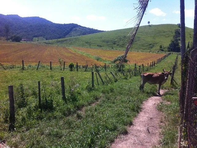 Imagem 14: VENDO FAZENDA EM SANTA CATARINA, PAULO LOPES COM 168 HA, ARROZAL, ÁGUA DE NASCENTE