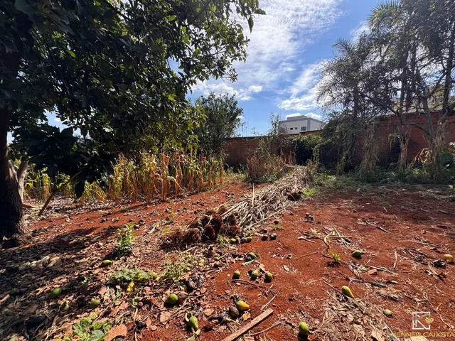 Imagem: Terreno à venda no bairro Caramuru - Patos