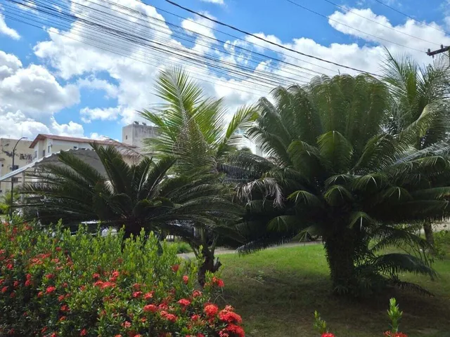 Imagem 4: Aluguel Imperdível no Condomínio Salinas – IPTU e Condomínio Inclusos