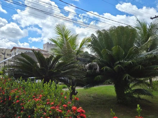 Imagem 10: Aluguel Imperdível no Condomínio Salinas – IPTU e Condomínio Inclusos