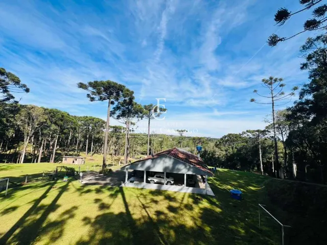 Imagem 4: Chácara à venda em Piraquara, Roça Nova, 43.446m²