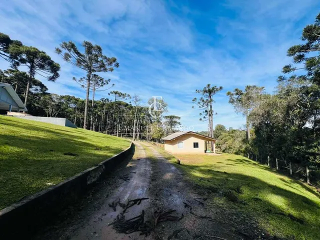 Imagem 11: Chácara à venda em Piraquara, Roça Nova, 43.446m²