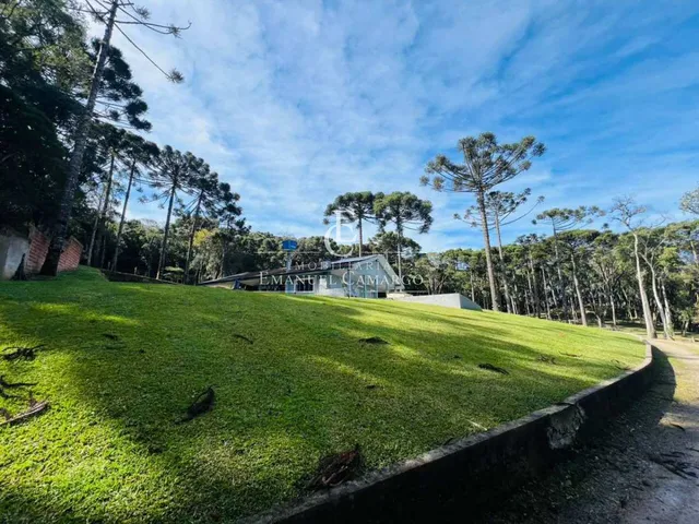 Imagem 14: Chácara à venda em Piraquara, Roça Nova, 43.446m²