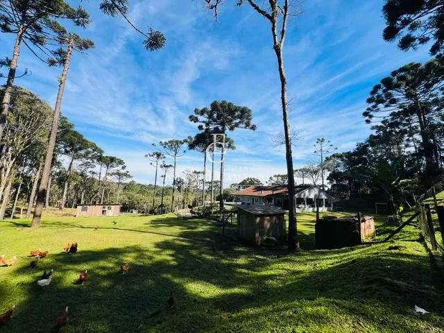Imagem 12: Chácara à venda em Piraquara, Roça Nova, 43.446m²