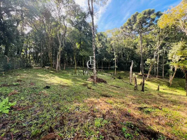 Imagem 3: Chácara à venda em Piraquara, Roça Nova, 43.446m²