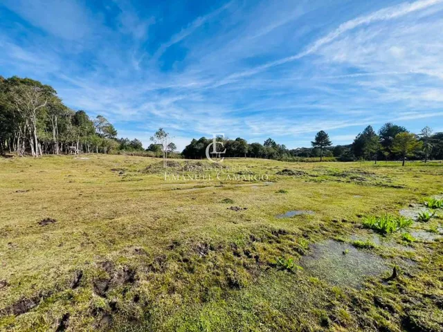 Imagem 5: Chácara à venda em Piraquara, Roça Nova, 43.446m²