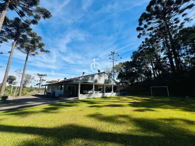 Imagem 6: Chácara à venda em Piraquara, Roça Nova, 43.446m²