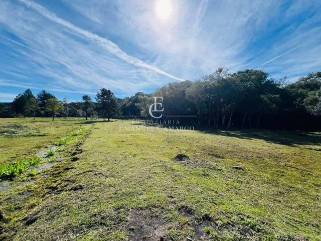 Imagem 7: Chácara à venda em Piraquara, Roça Nova, 43.446m²