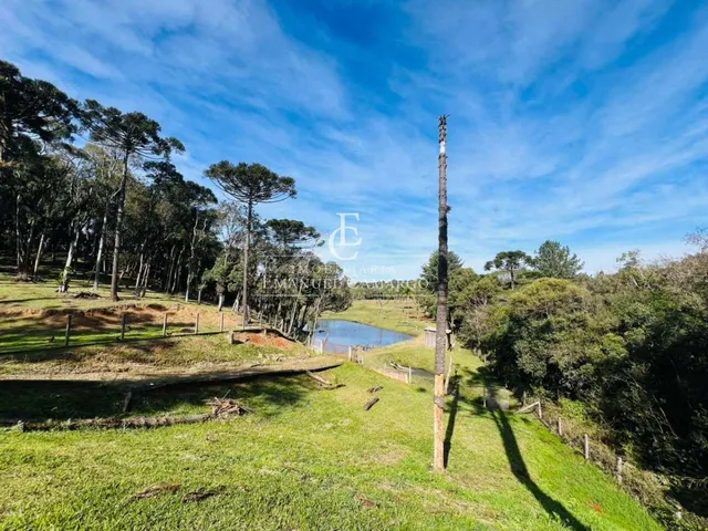 Imagem 9: Chácara à venda em Piraquara, Roça Nova, 43.446m²