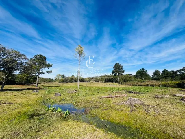 Imagem 10: Chácara à venda em Piraquara, Roça Nova, 43.446m²