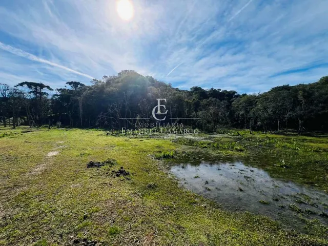 Imagem 13: Chácara à venda em Piraquara, Roça Nova, 43.446m²