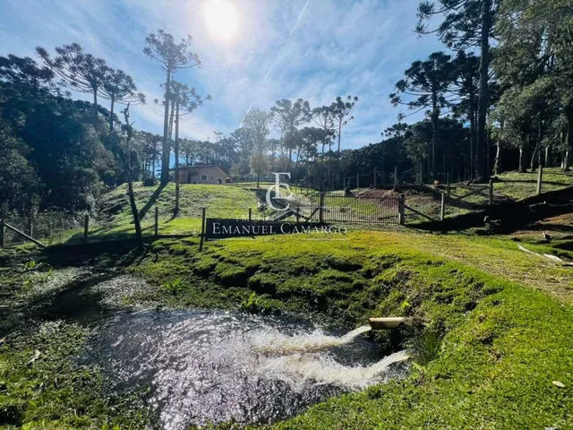 Imagem 15: Chácara à venda em Piraquara, Roça Nova, 43.446m²