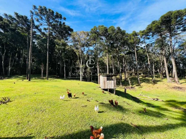 Imagem 16: Chácara à venda em Piraquara, Roça Nova, 43.446m²