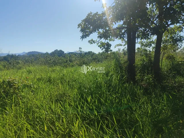 Imagem 14: Terreno à Venda com 10.000 m² em Belo Horizonte, Anchieta/ES - Frente para Asfalto