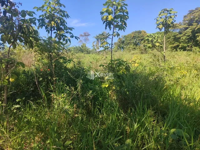 Imagem 3: Terreno à Venda com 10.000 m² em Belo Horizonte, Anchieta/ES - Frente para Asfalto