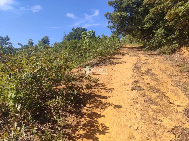 Imagem 6: Terreno à Venda com 10.000 m² em Belo Horizonte, Anchieta/ES - Frente para Asfalto