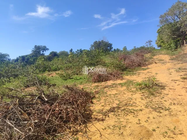 Imagem 2: Terreno à Venda com 10.000 m² em Belo Horizonte, Anchieta/ES - Frente para Asfalto