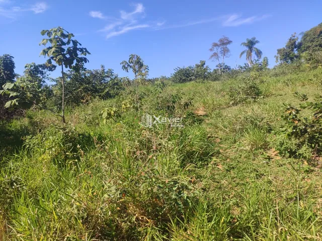 Imagem 5: Terreno à Venda com 10.000 m² em Belo Horizonte, Anchieta/ES - Frente para Asfalto