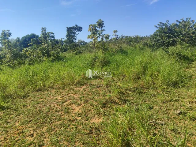 Imagem 15: Terreno à Venda com 10.000 m² em Belo Horizonte, Anchieta/ES - Frente para Asfalto
