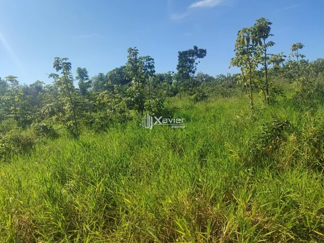 Imagem 9: Terreno à Venda com 10.000 m² em Belo Horizonte, Anchieta/ES - Frente para Asfalto