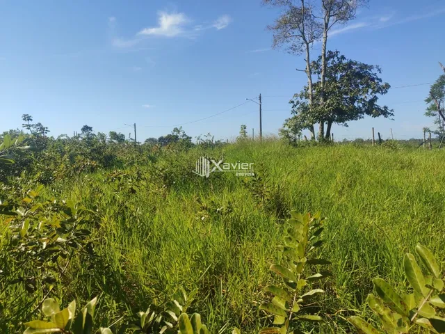 Imagem 7: Terreno à Venda com 10.000 m² em Belo Horizonte, Anchieta/ES - Frente para Asfalto
