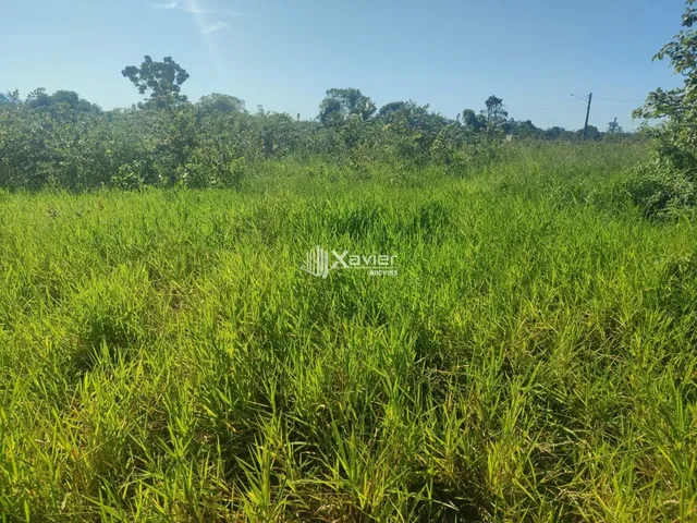 Imagem 12: Terreno à Venda com 10.000 m² em Belo Horizonte, Anchieta/ES - Frente para Asfalto