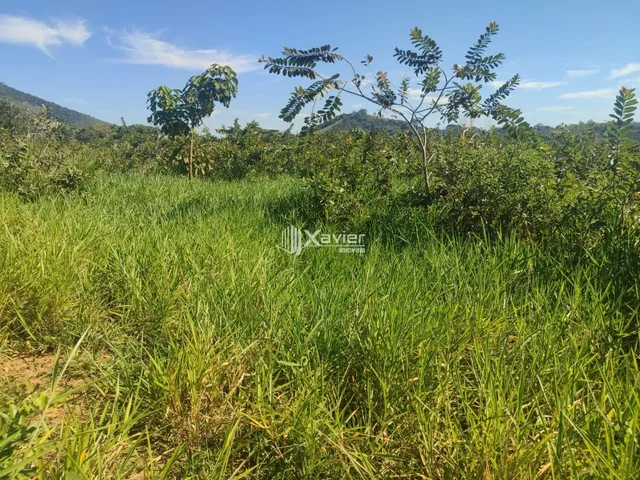 Imagem 13: Terreno à Venda com 10.000 m² em Belo Horizonte, Anchieta/ES - Frente para Asfalto