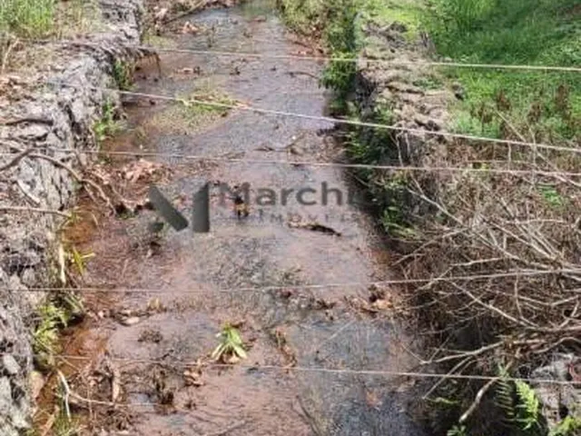 Imagem 7: Chácara de Alto Padrão em Caldazinha GO | 3,6 Alqueires