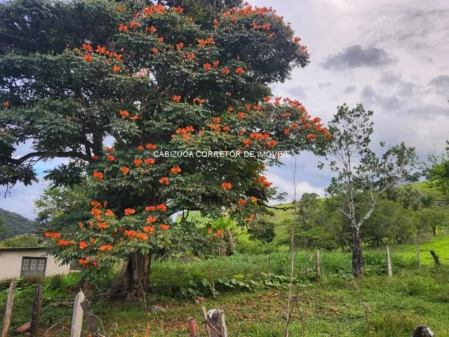 Imagem 13: SITIO RESIDENCIAL em SOLEDADE DE MINAS - MG, Soledade