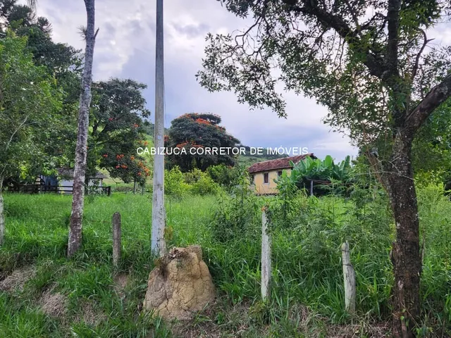 Imagem 8: SITIO RESIDENCIAL em SOLEDADE DE MINAS - MG, Soledade