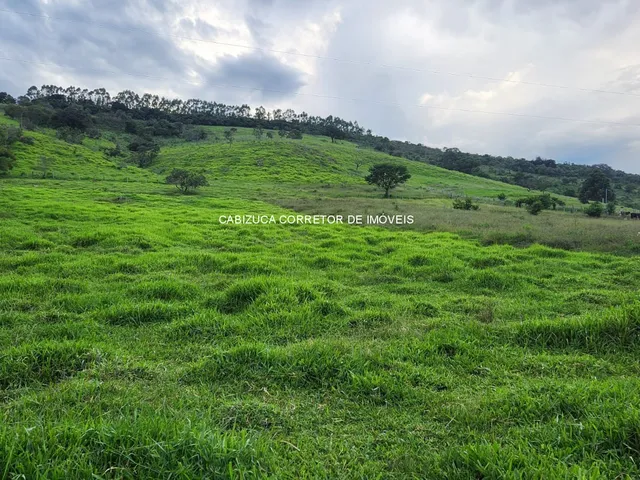 Imagem 12: SITIO RESIDENCIAL em SOLEDADE DE MINAS - MG, Soledade