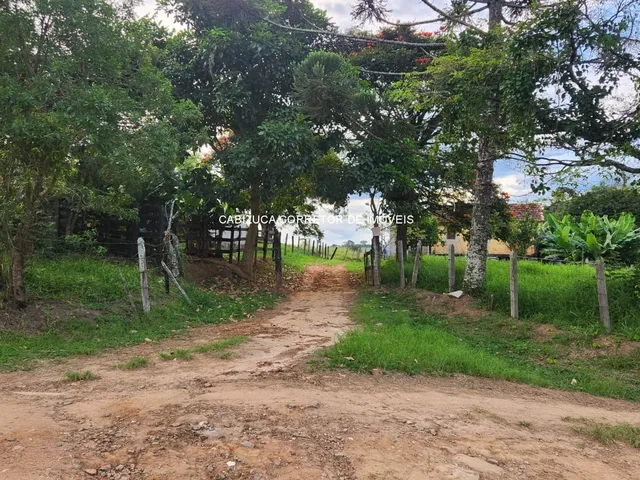 Imagem 15: SITIO RESIDENCIAL em SOLEDADE DE MINAS - MG, Soledade