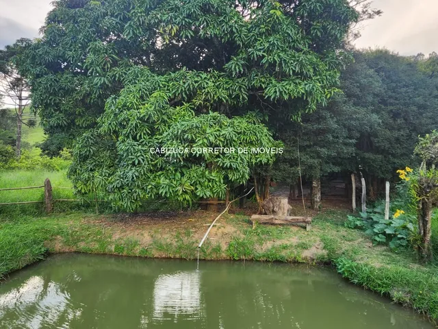 Imagem 9: SITIO RESIDENCIAL em SOLEDADE DE MINAS - MG, Soledade