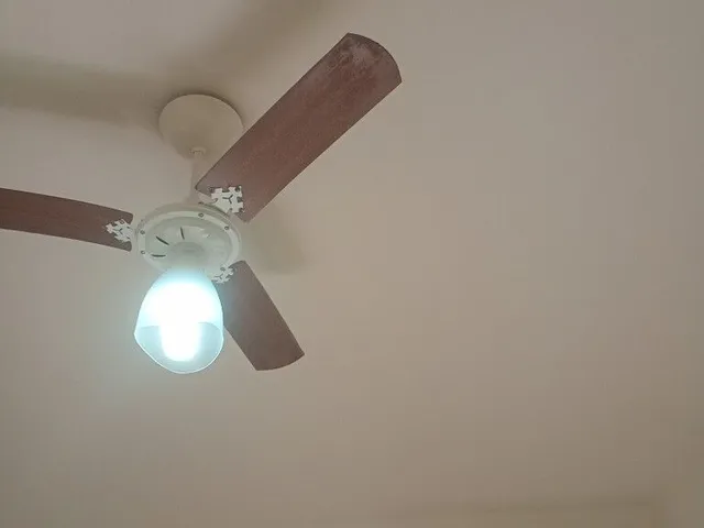 Imagem 10: Excelente Apartamento mobiliado na rua. Anita Garibalde