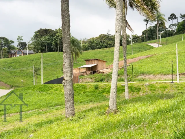 Imagem 5: Terreno em condomínio fechado em Campo Alegre